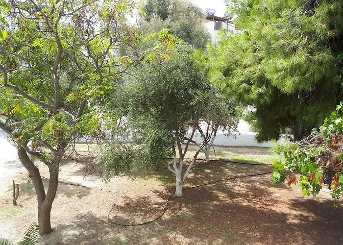 Lejlighed Chrisanthi Agios Prokopios (Naxos)